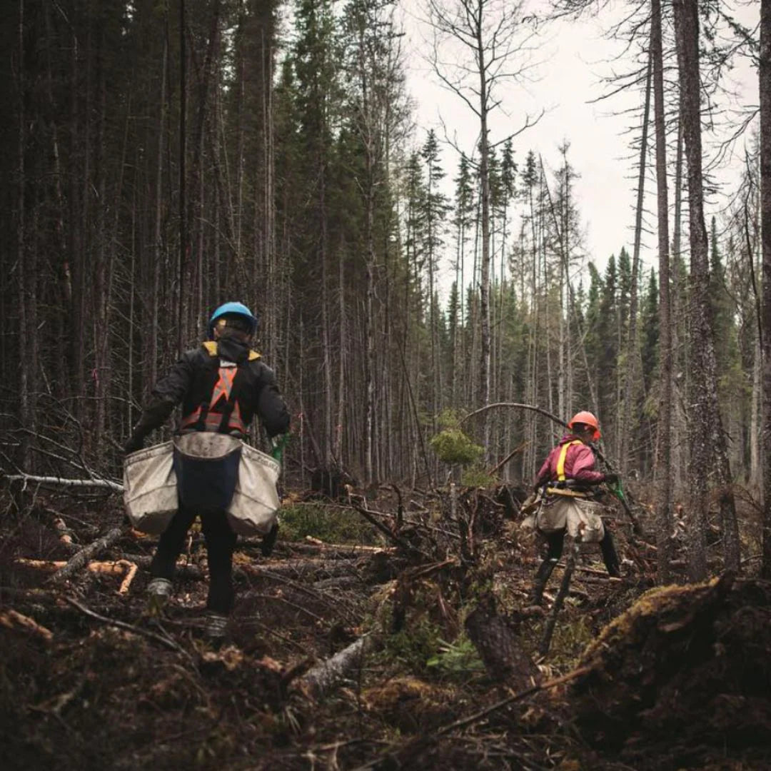 Sustainable Packaging